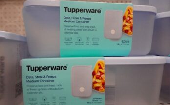 What you need to know about Tupperware and plastic container safety